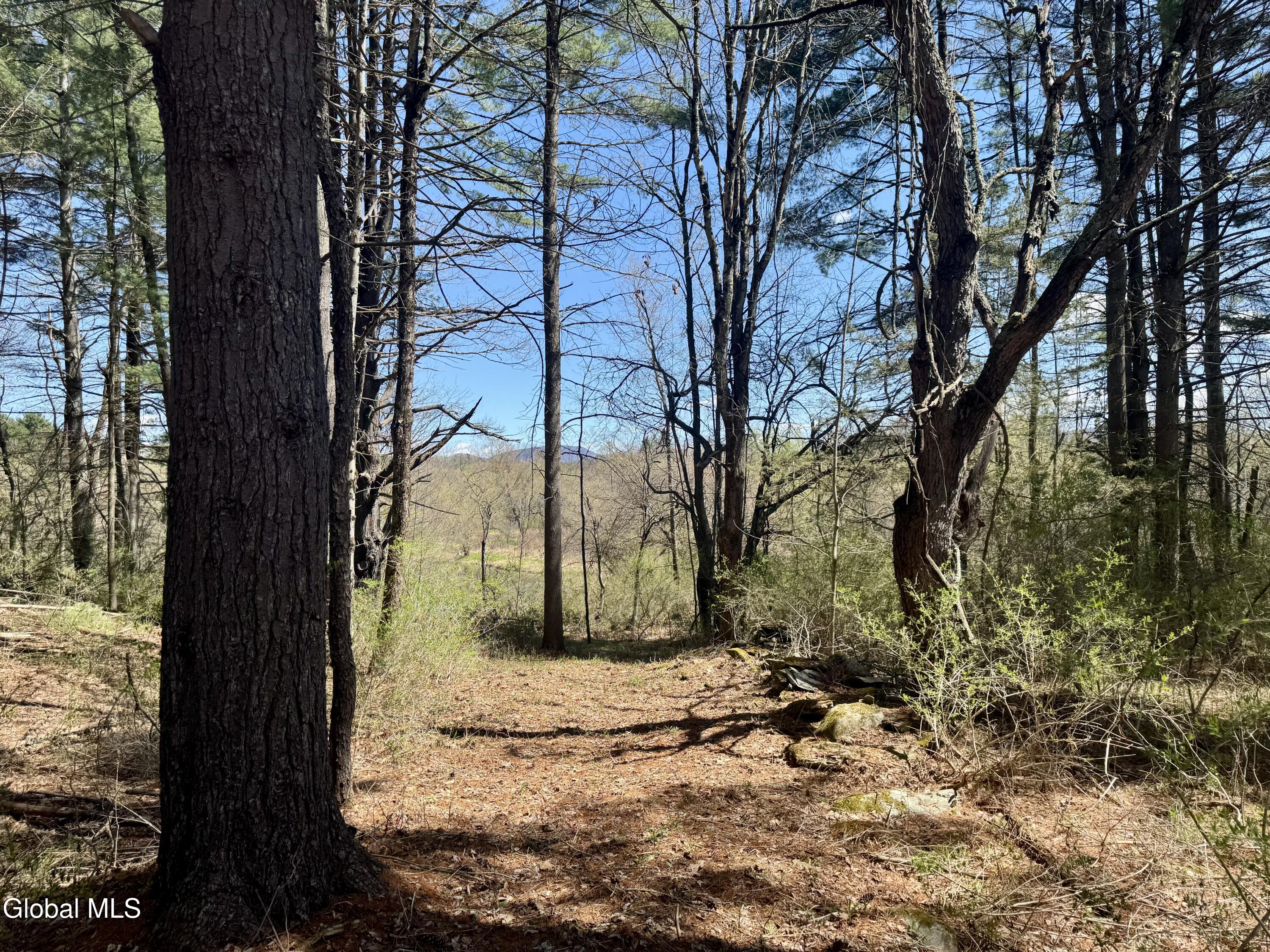 9162 State Route 22 Granville NY 12832
