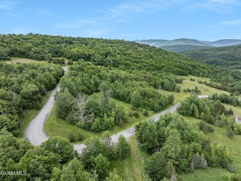 L40 Overlook Drive Prattsville NY 12452