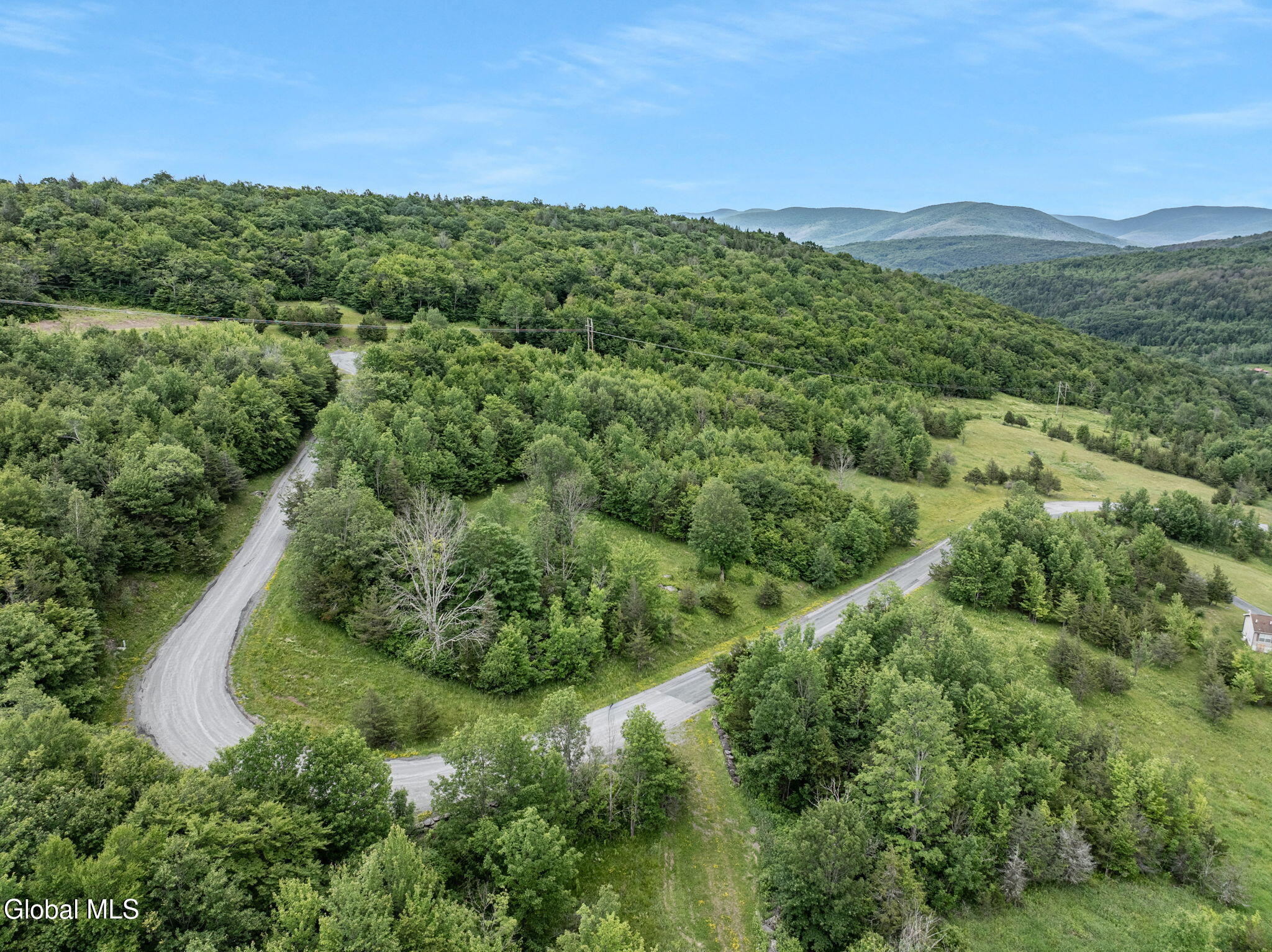 L40 Overlook Drive Prattsville NY 12452