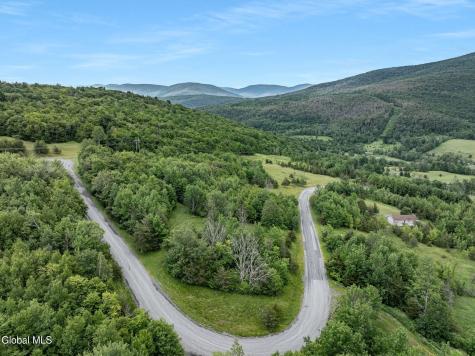 L40 Overlook Drive Prattsville NY 12452