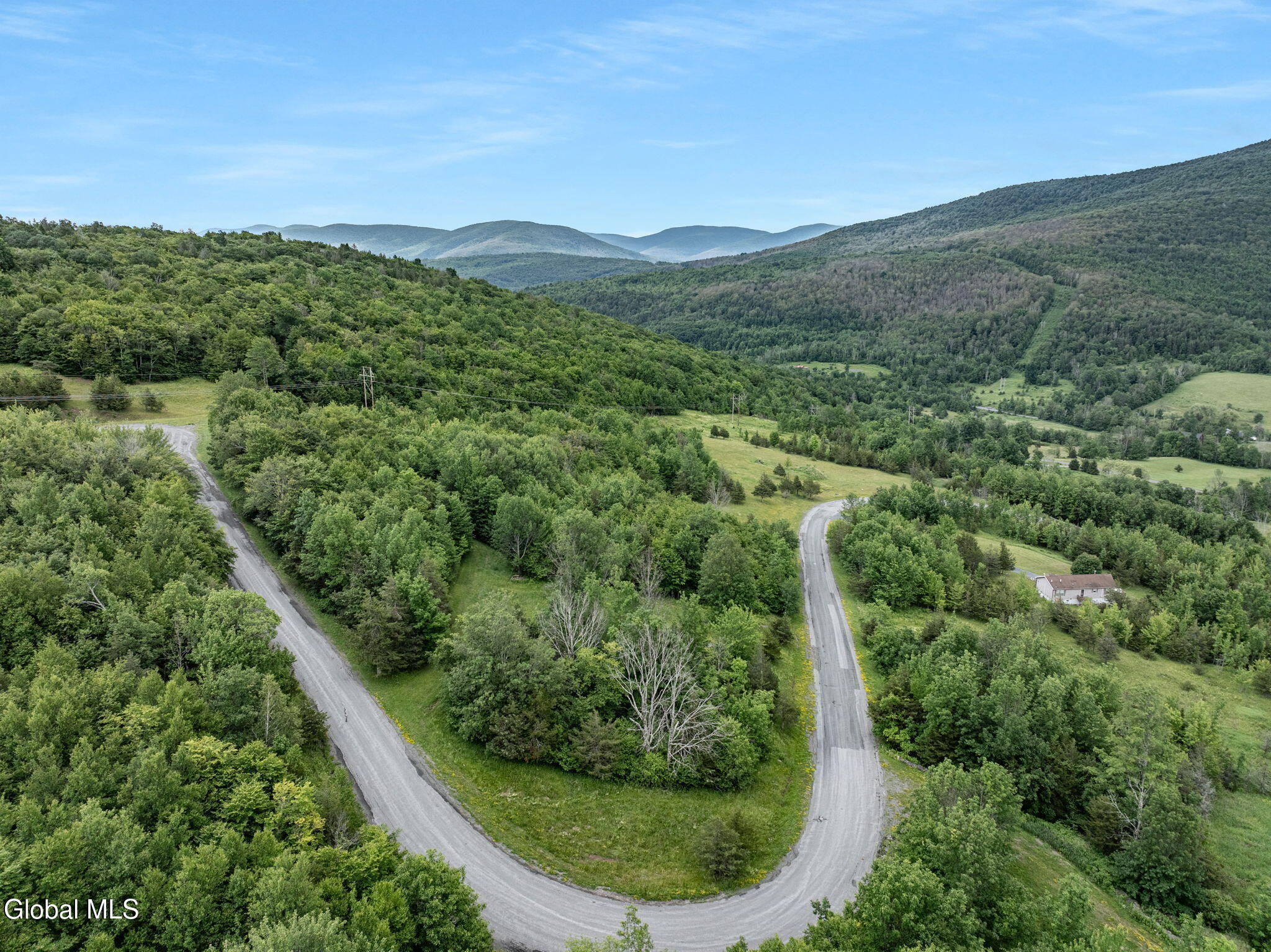 L40 Overlook Drive Prattsville NY 12452