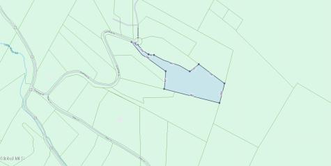 L40 Overlook Drive Prattsville NY 12452