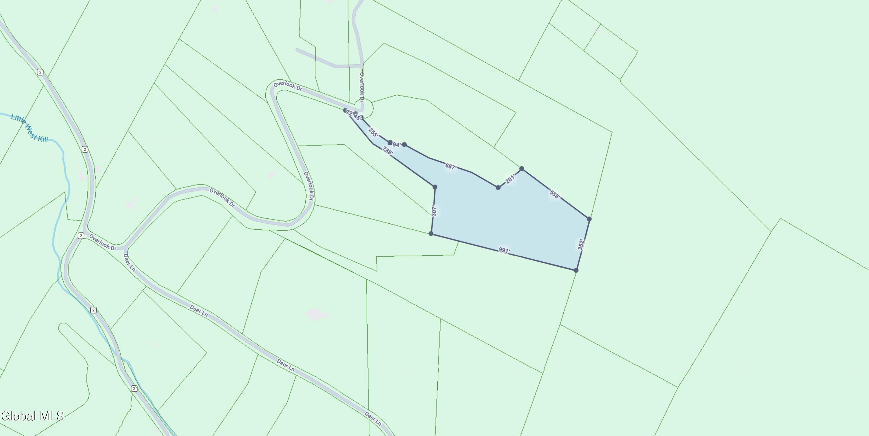 L40 Overlook Drive Prattsville NY 12452