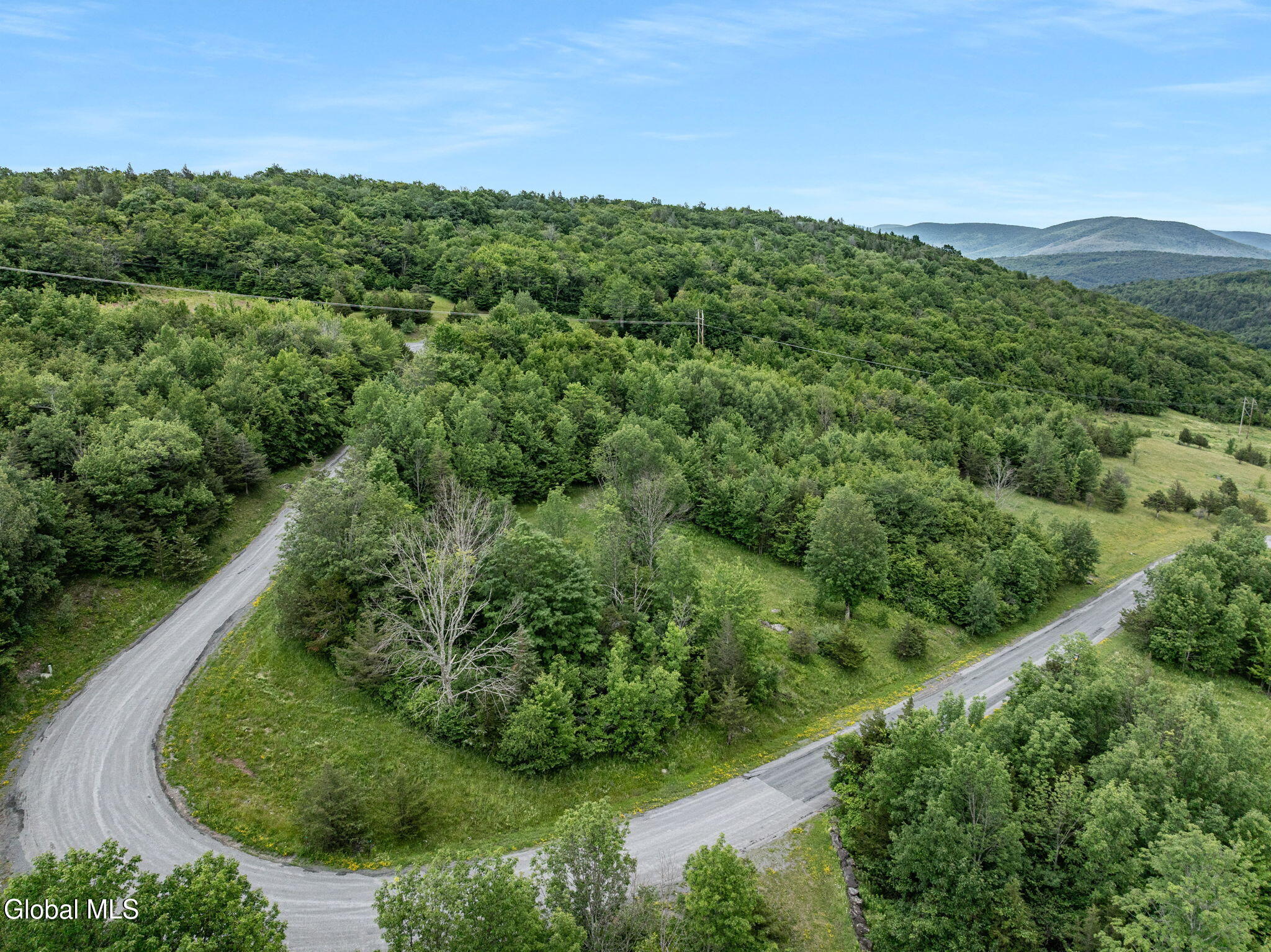 L40 Overlook Drive Prattsville NY 12452
