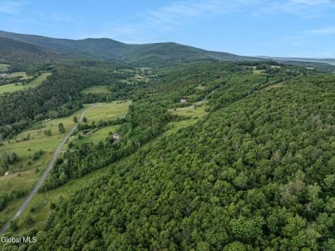 L40 Overlook Drive Prattsville NY 12452