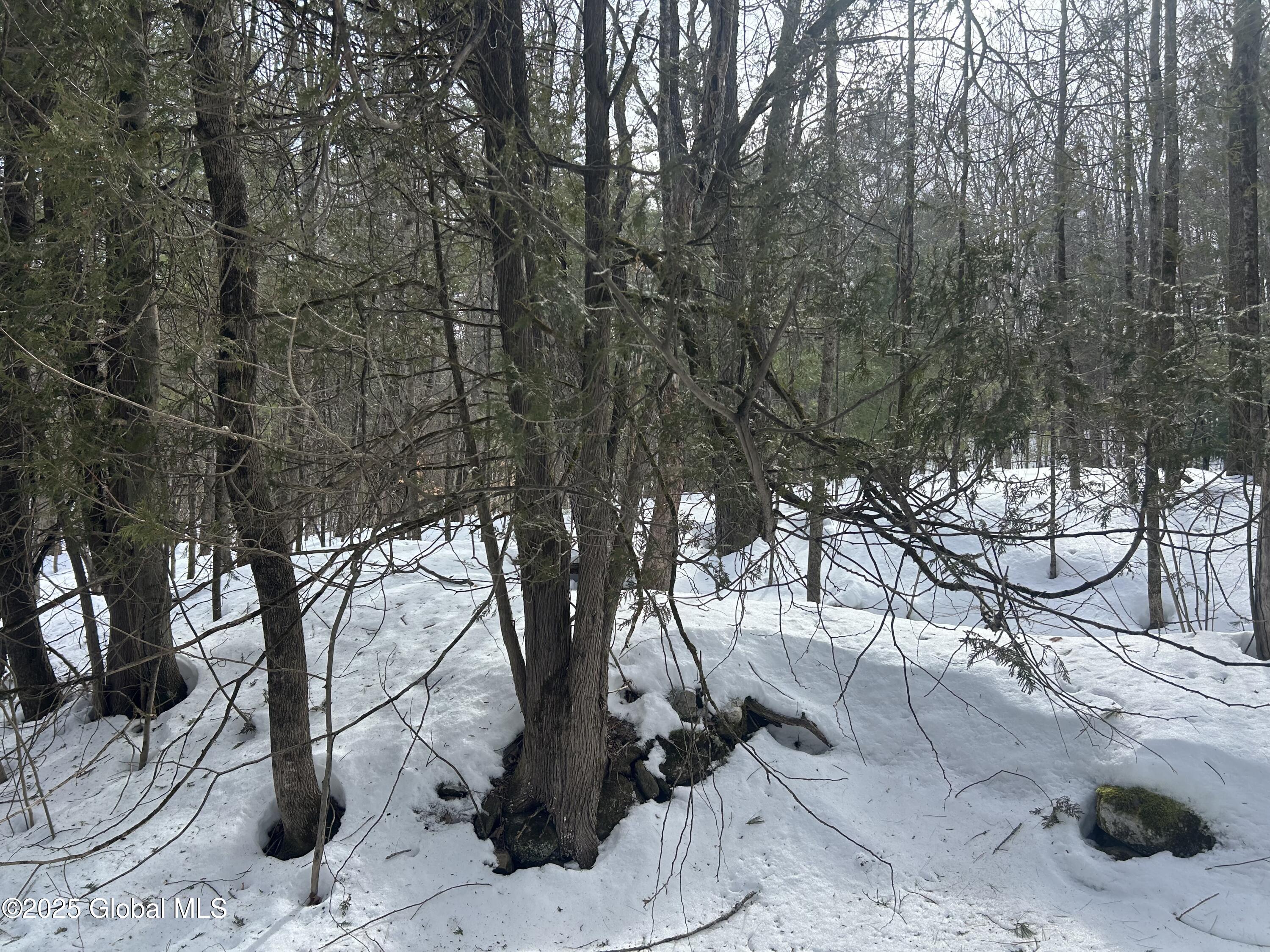 L26 Hogback Road Crown Point NY 12928