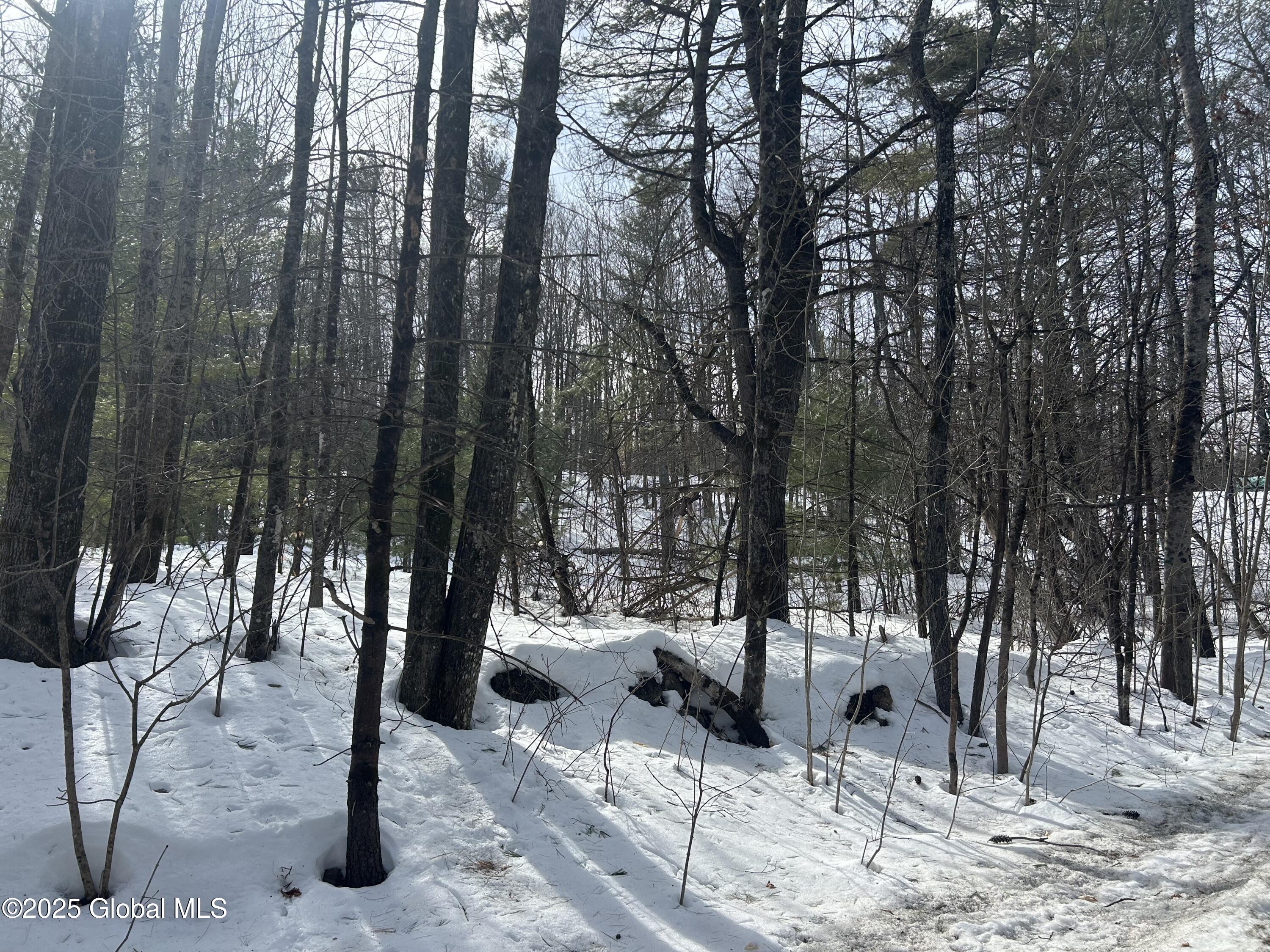 L26 Hogback Road Crown Point NY 12928