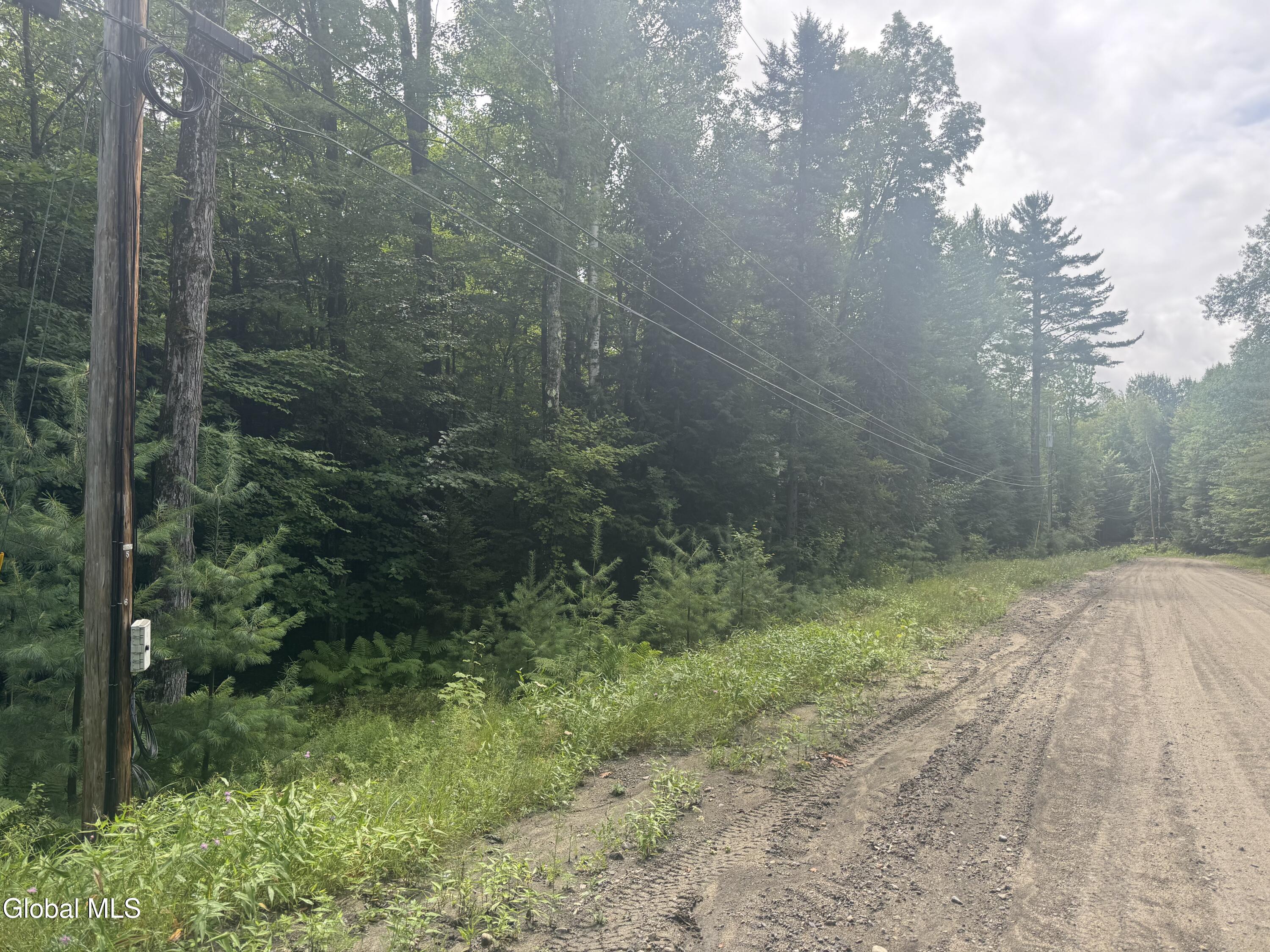 L52 Iroquois Trail North Creek NY 12853