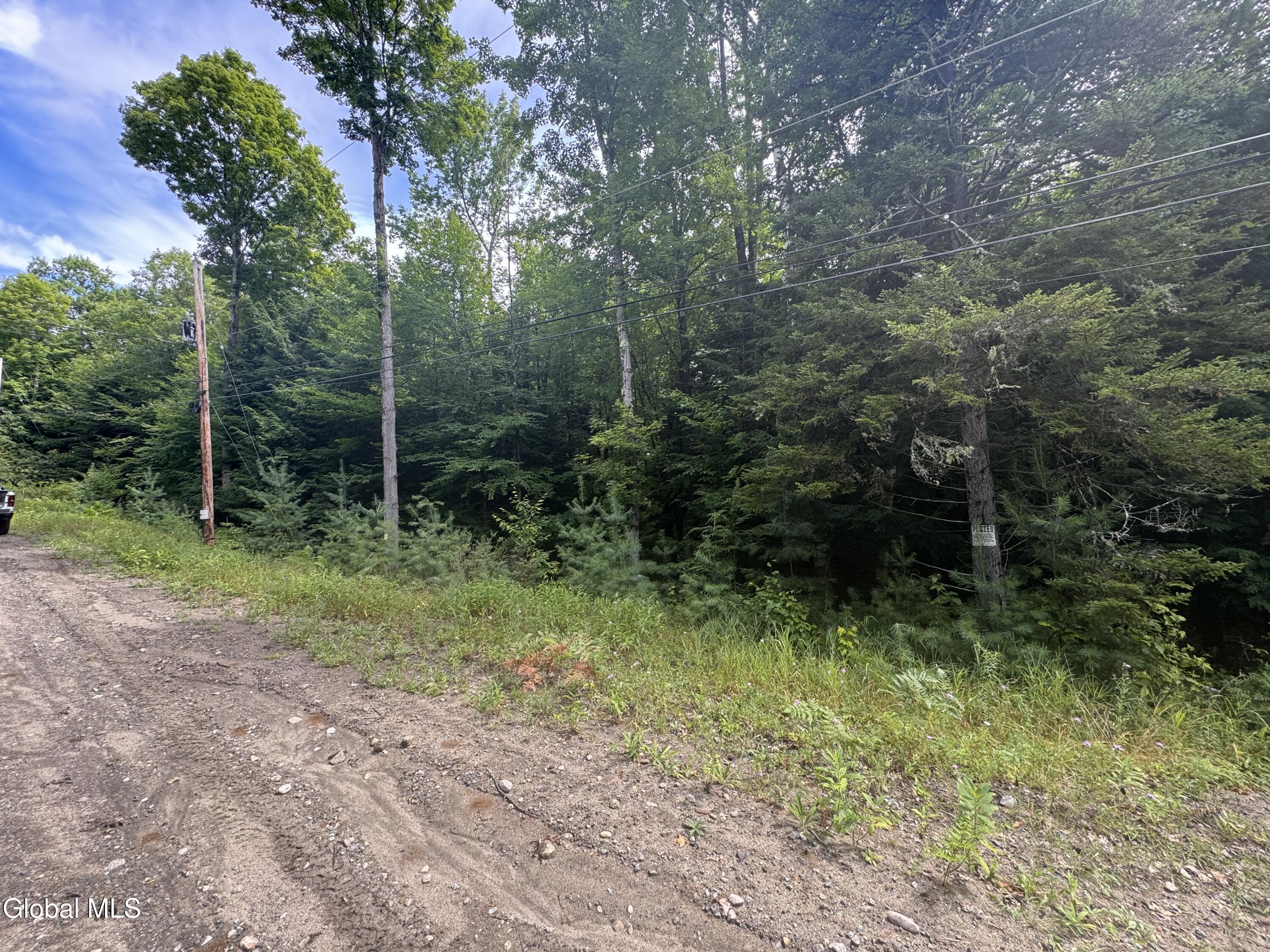 L52 Iroquois Trail North Creek NY 12853
