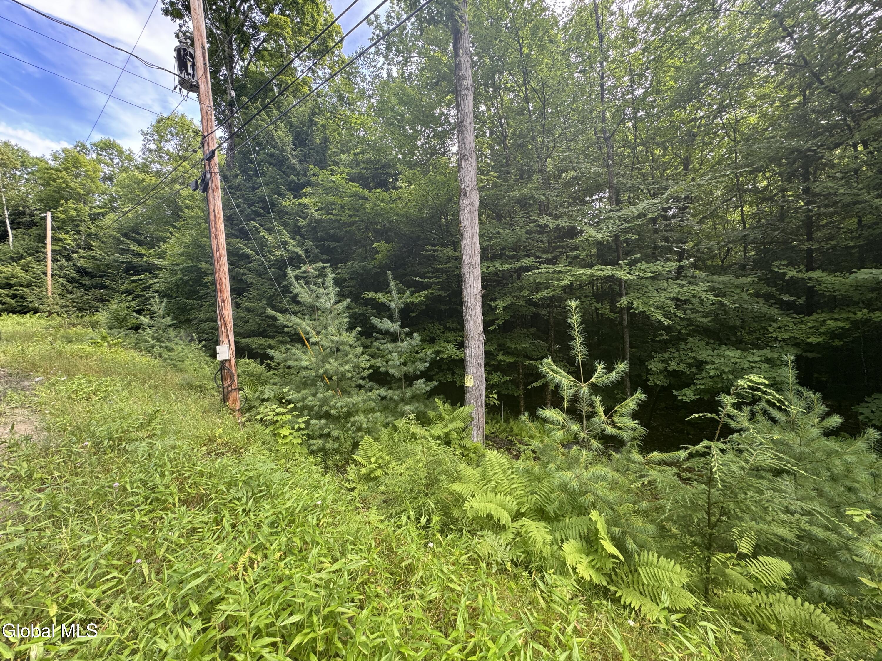 L52 Iroquois Trail North Creek NY 12853