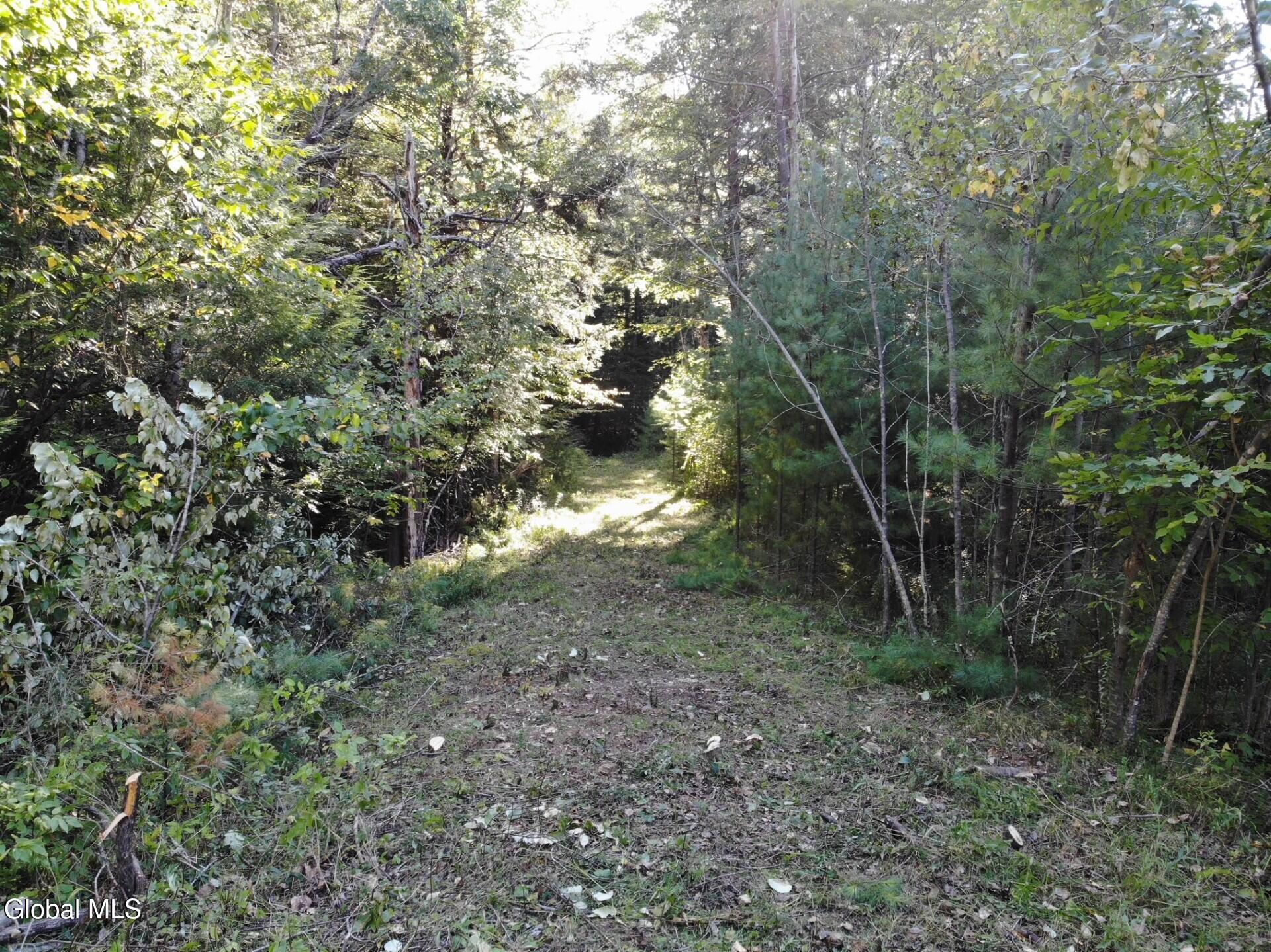 L8 Wrights Farm Road Bolton Landing NY 12814