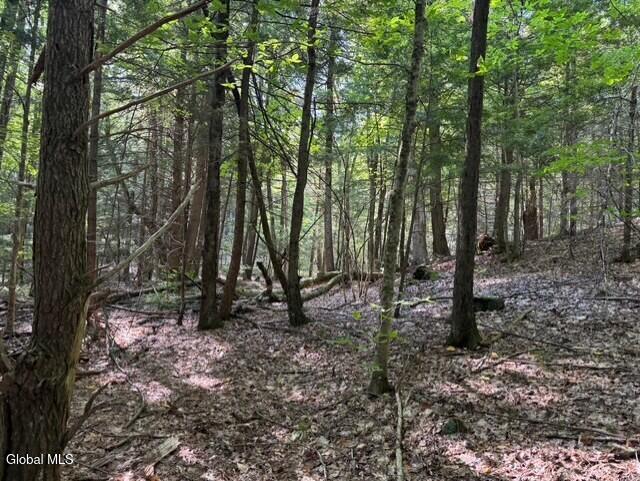 L8 Wrights Farm Road Bolton Landing NY 12814