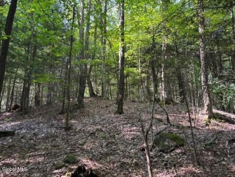 L8 Wrights Farm Road Bolton Landing NY 12814
