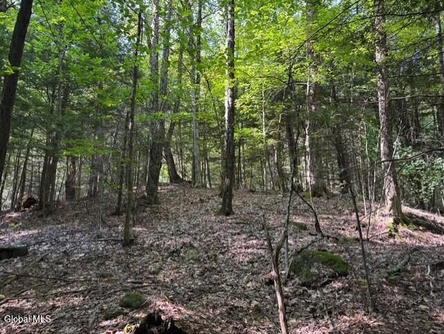 L8 Wrights Farm Road Bolton Landing NY 12814