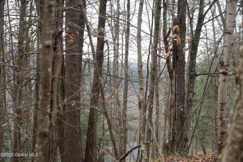 L15.2 Mt. Eden Estates Road Lexington NY 12452