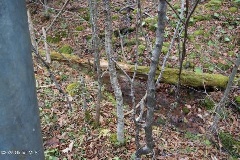 L15.2 Mt. Eden Estates Road Lexington NY 12452