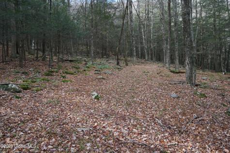 L15.2 Mt. Eden Estates Road Lexington NY 12452