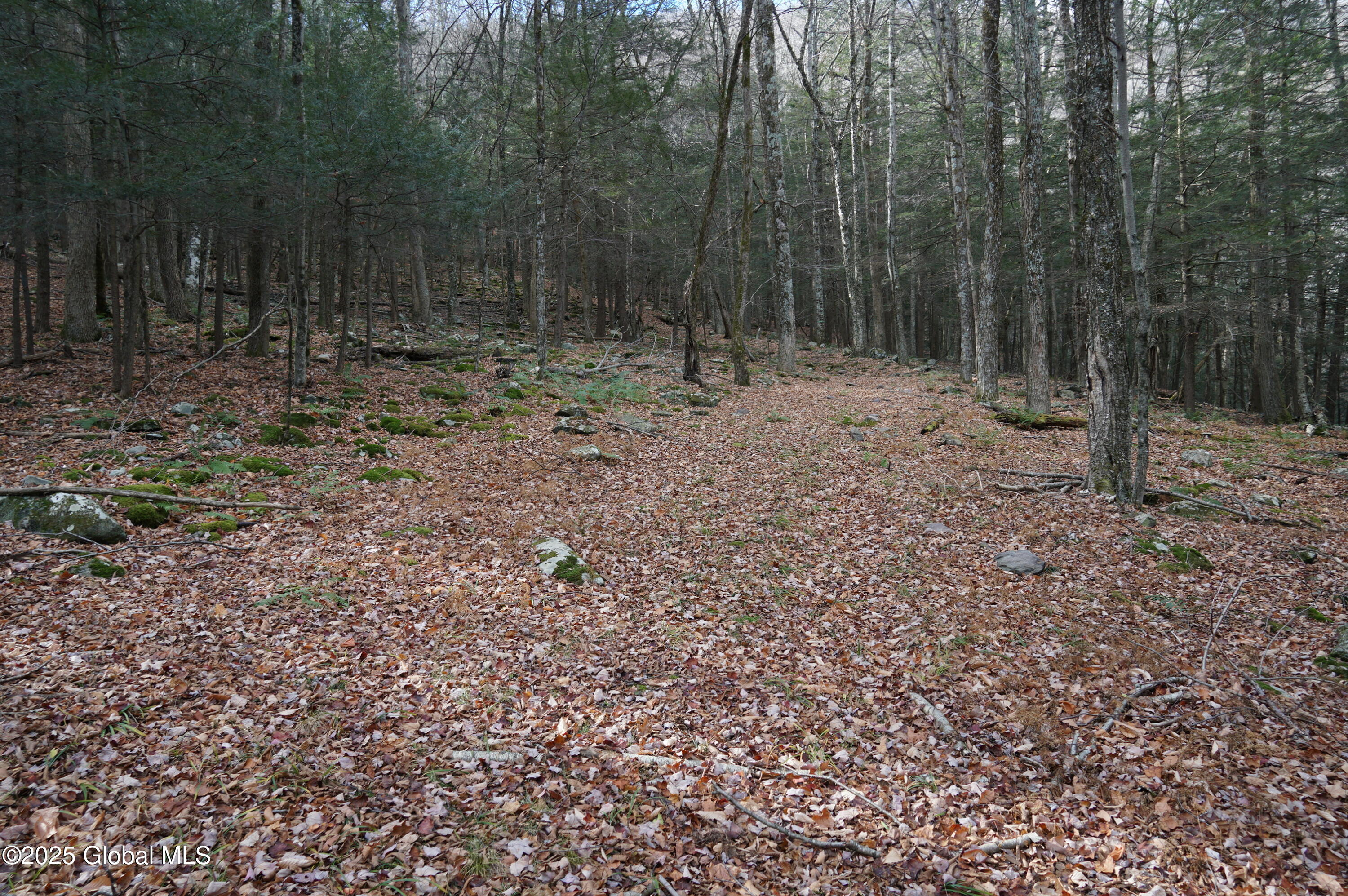L15.2 Mount Eden Estates Road Lexington NY 12452