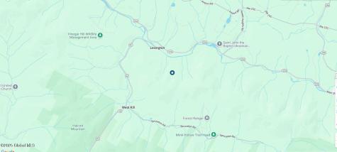 L15.2 Mt. Eden Estates Road Lexington NY 12452