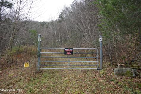 L15.2 Mt. Eden Estates Road Lexington NY 12452