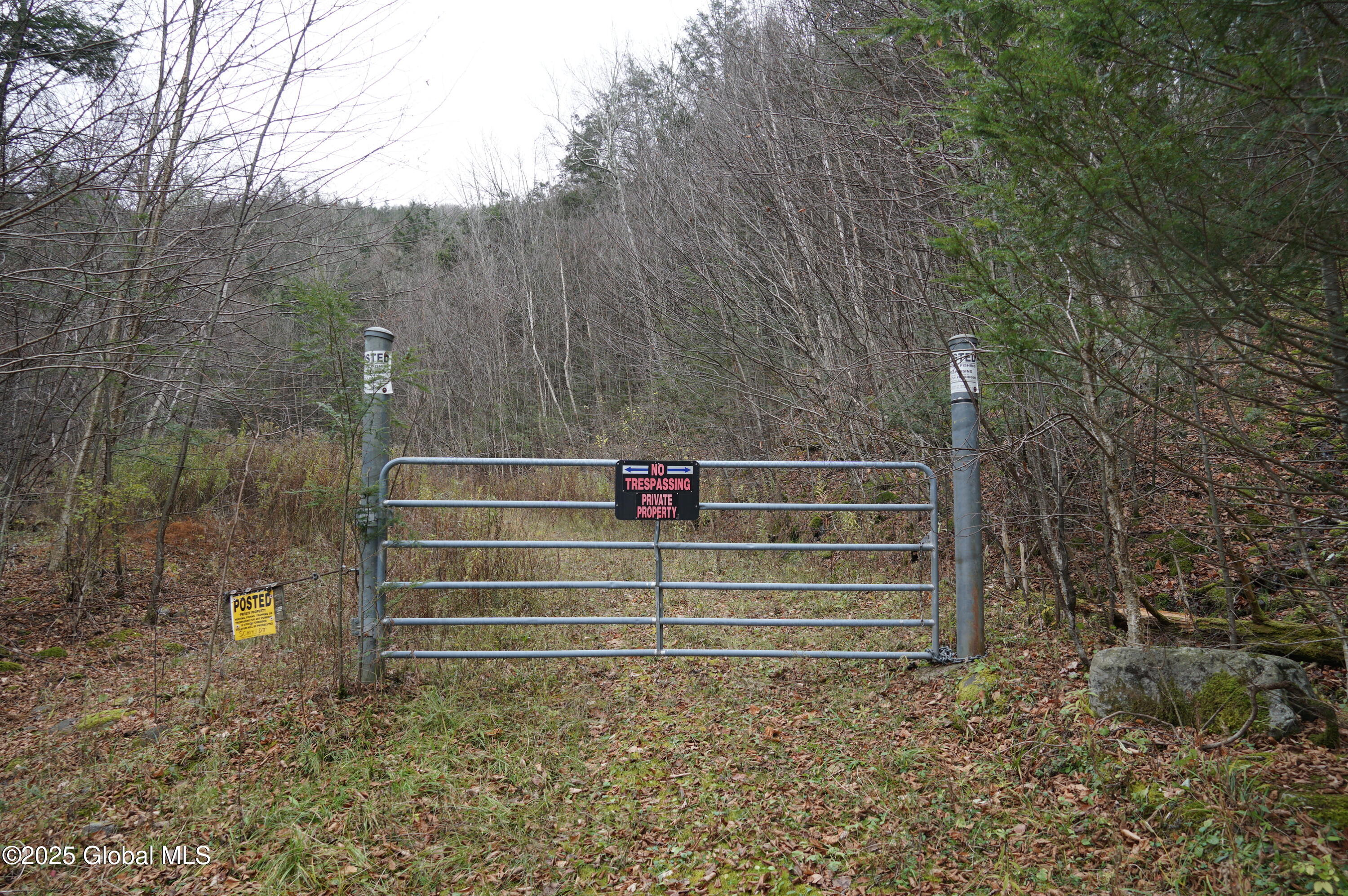 L15.2 Mount Eden Estates Road Lexington NY 12452