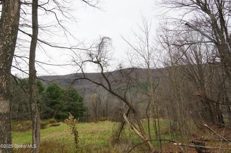 L15.2 Mt. Eden Estates Road Lexington NY 12452