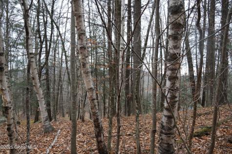 L15.2 Mt. Eden Estates Road Lexington NY 12452