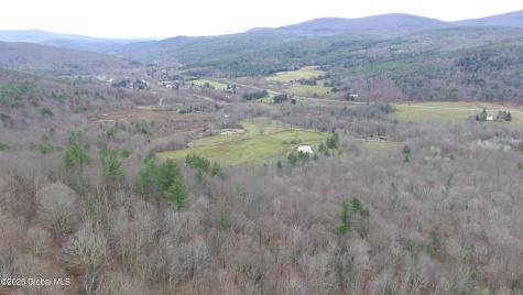 L15.2 Mt. Eden Estates Road Lexington NY 12452