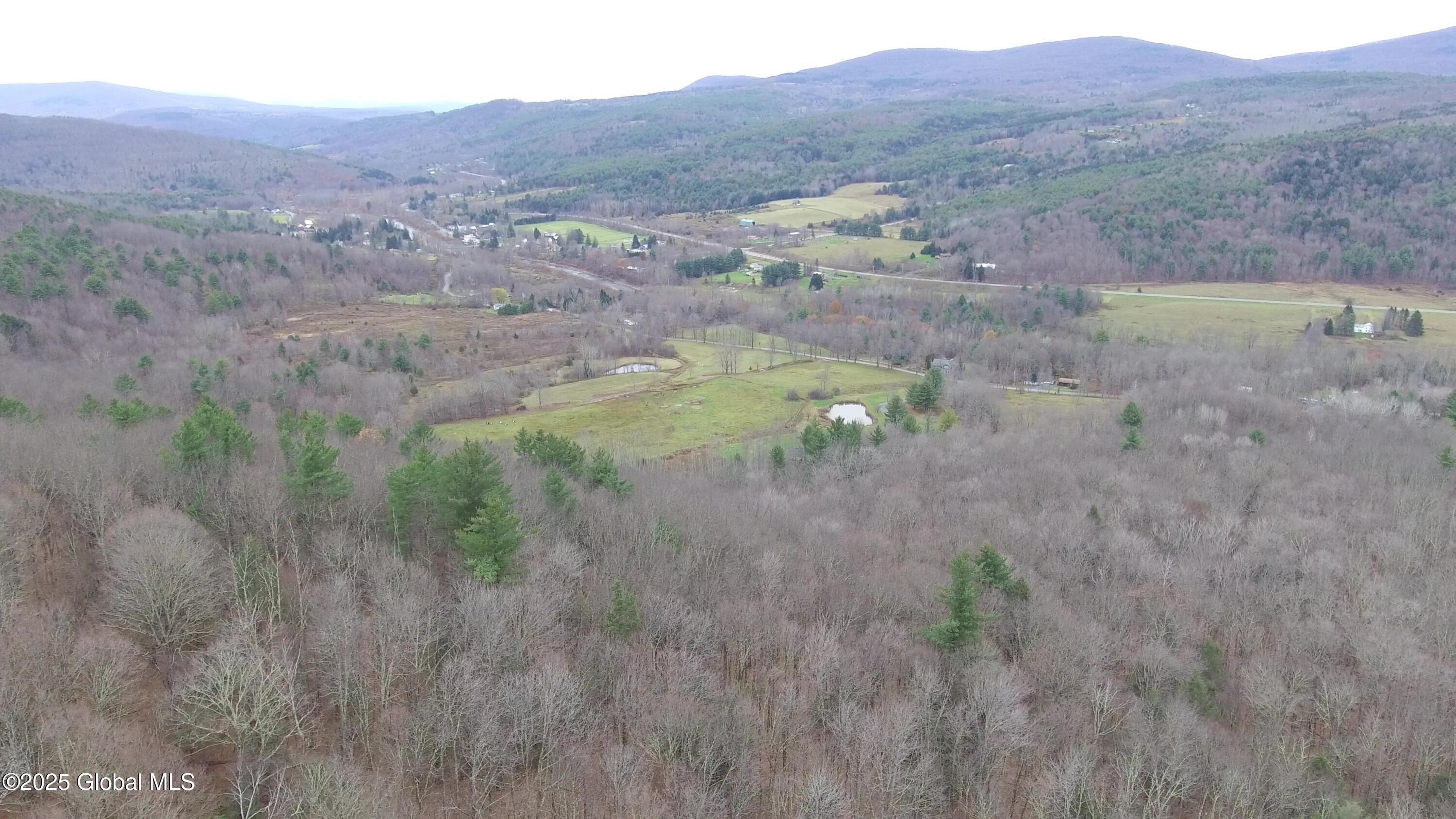 L15.2 Mount Eden Estates Road Lexington NY 12452