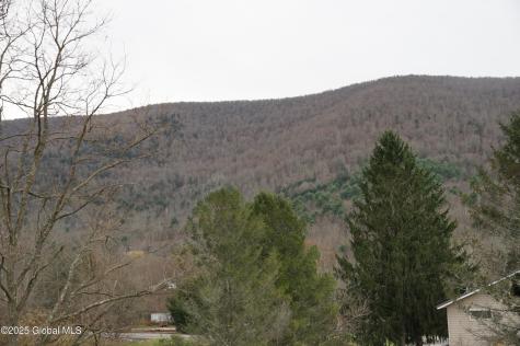 L15.2 Mt. Eden Estates Road Lexington NY 12452