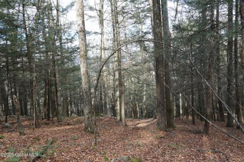 L15.2 Mt. Eden Estates Road Lexington NY 12452