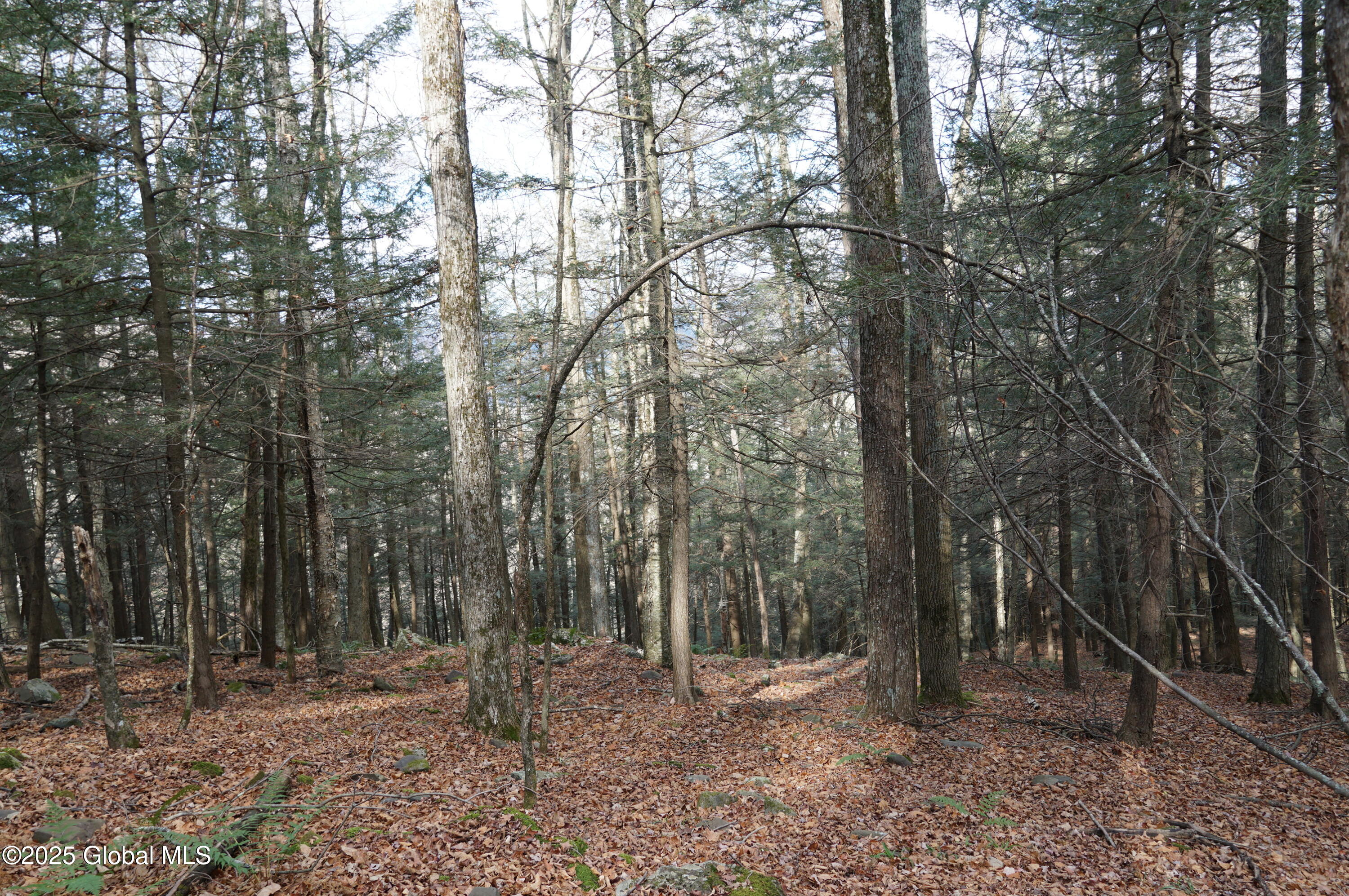 L15.2 Mount Eden Estates Road Lexington NY 12452