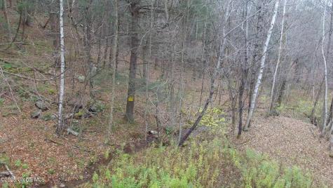 L15.2 Mt. Eden Estates Road Lexington NY 12452