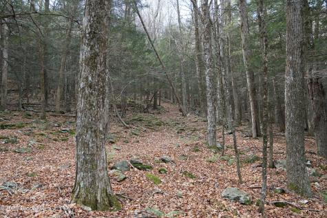 L15.2 Mt. Eden Estates Road Lexington NY 12452