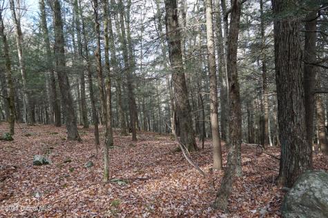 L15.2 Mt. Eden Estates Road Lexington NY 12452