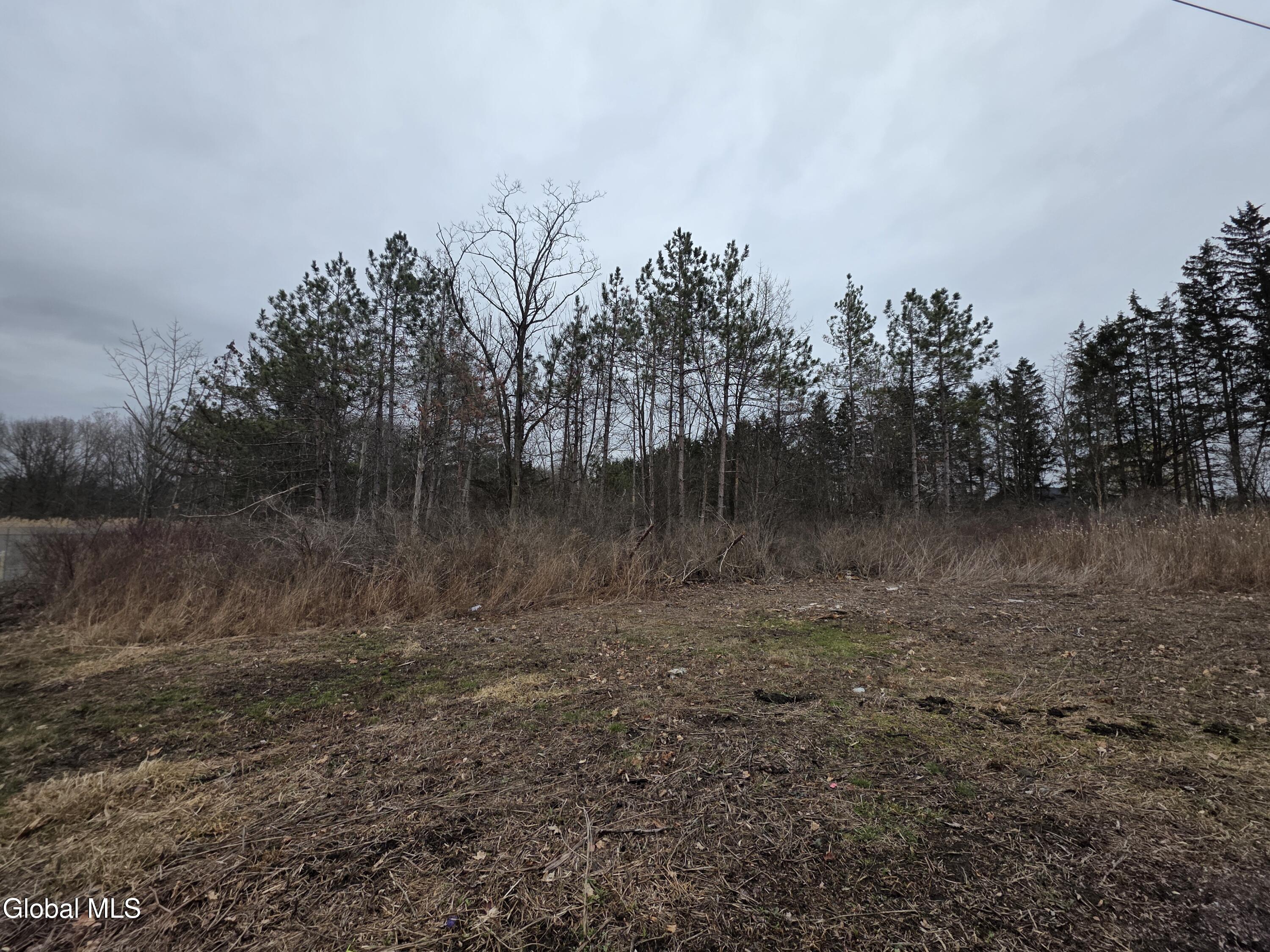 L27-1 Jensis Road Castleton NY 12033