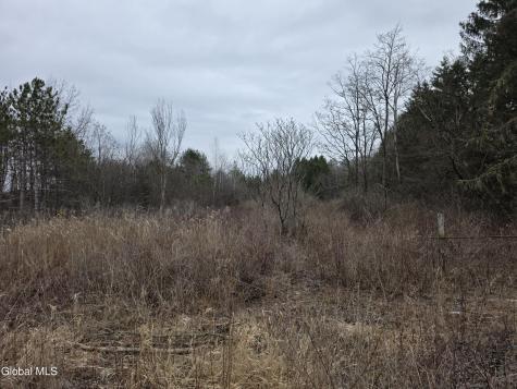 L27-1 Jensis Road Castleton NY 12033