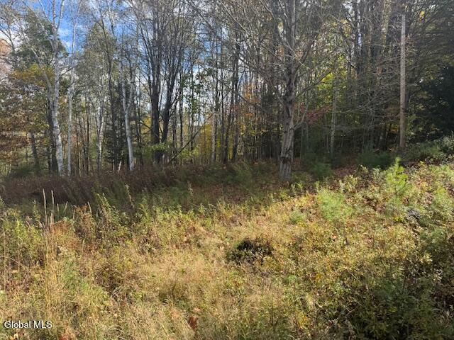 37 Main Street North Creek NY 12853