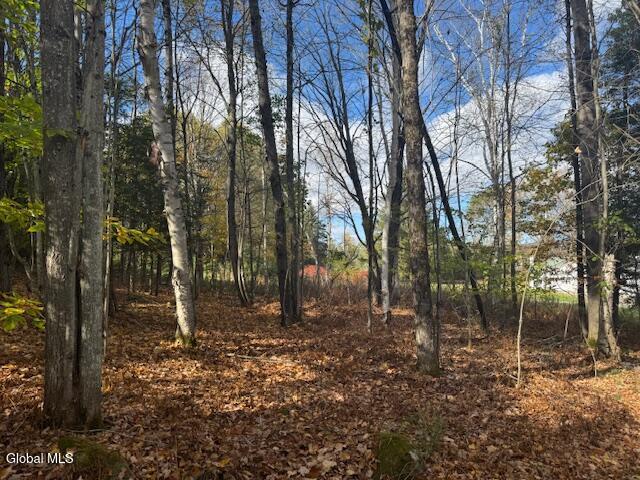 37 Main Street North Creek NY 12853