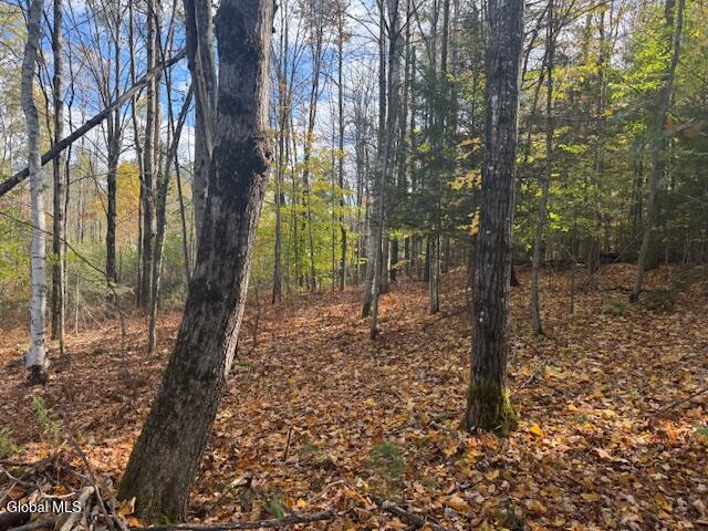 37 Main Street North Creek NY 12853