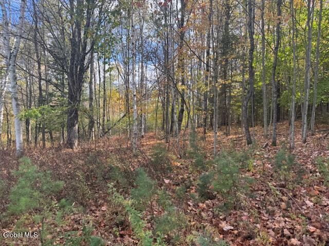 37 Main Street North Creek NY 12853