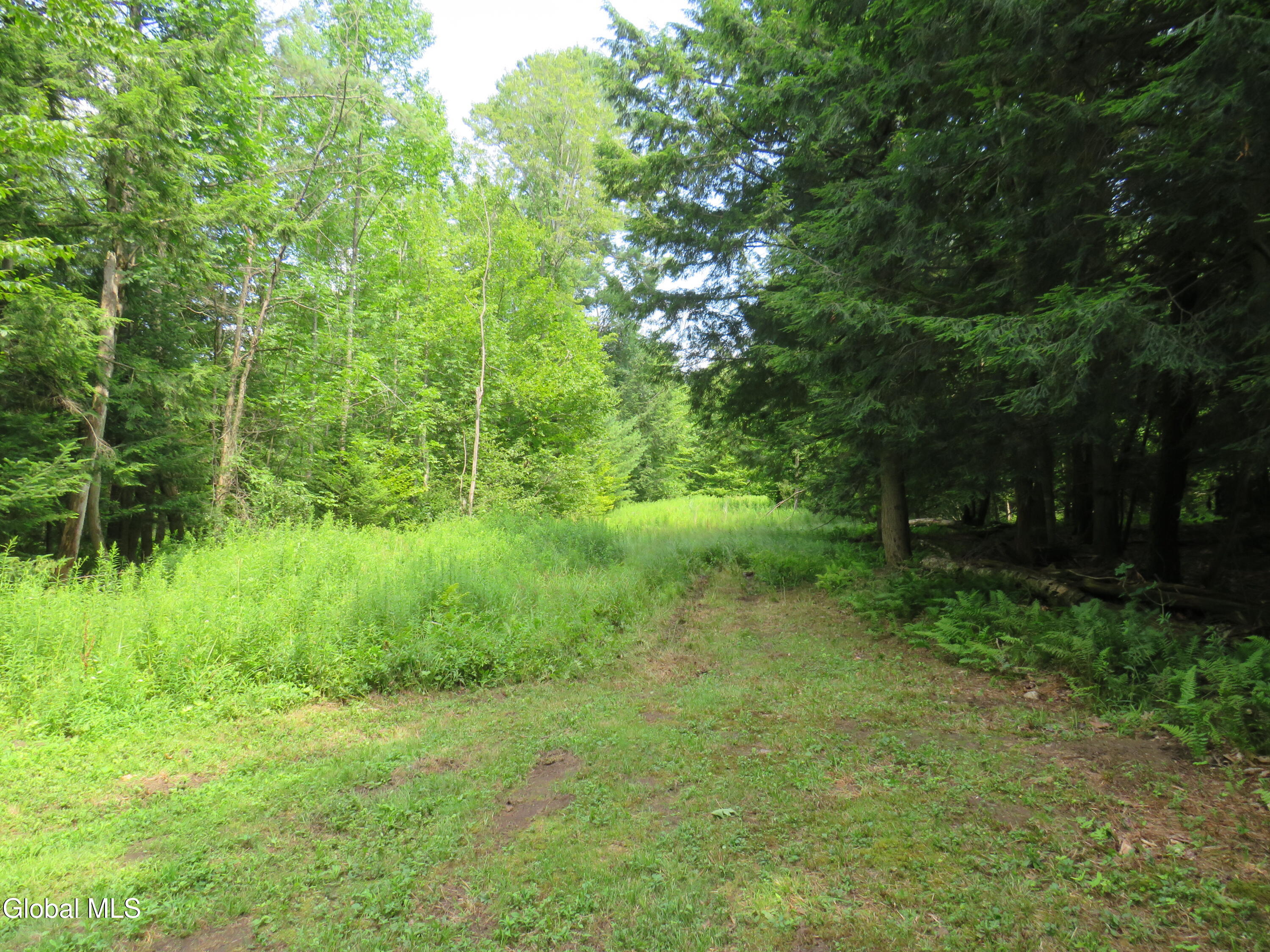 614 N Bush Road Johnstown NY 12095