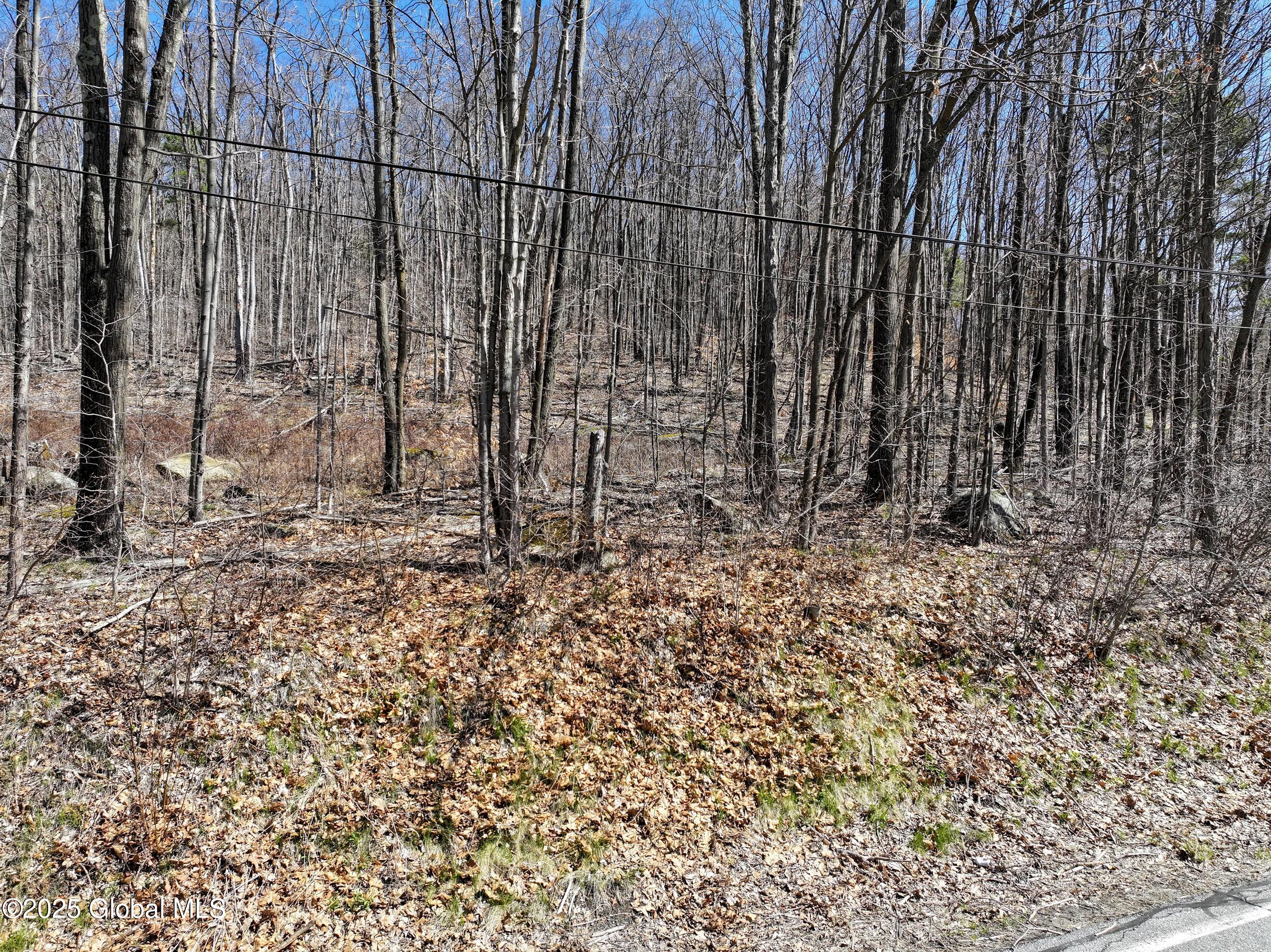 392 W Hague Road Hague NY 12836