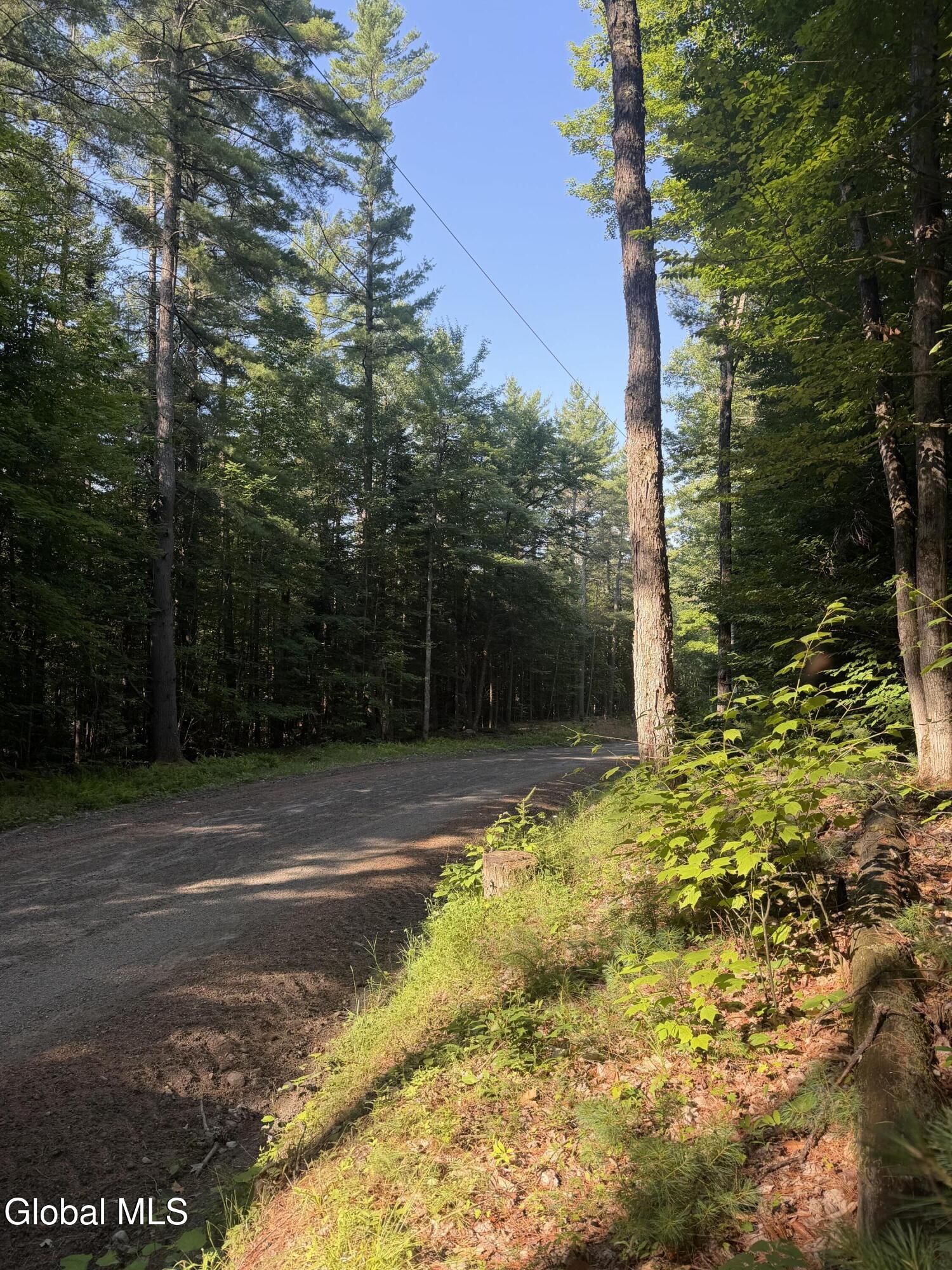 L4 Jim Younes Road Brant Lake NY 12815