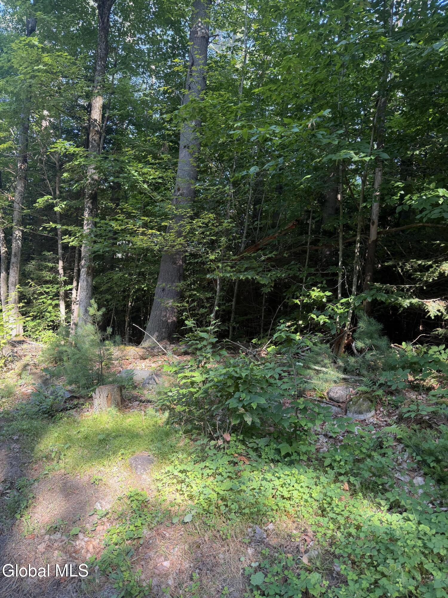 L4 Jim Younes Road Brant Lake NY 12815
