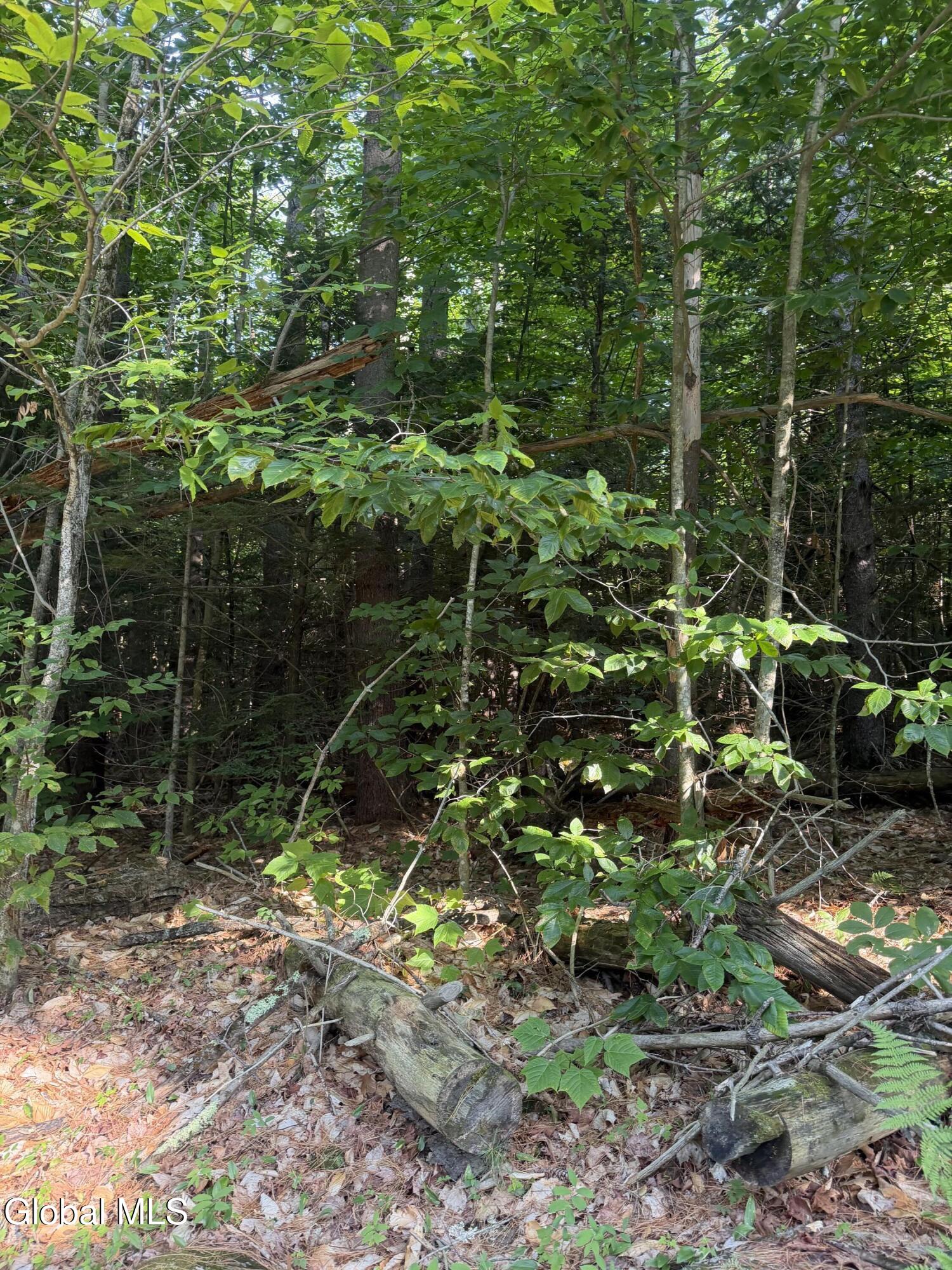 L4 Jim Younes Road Brant Lake NY 12815