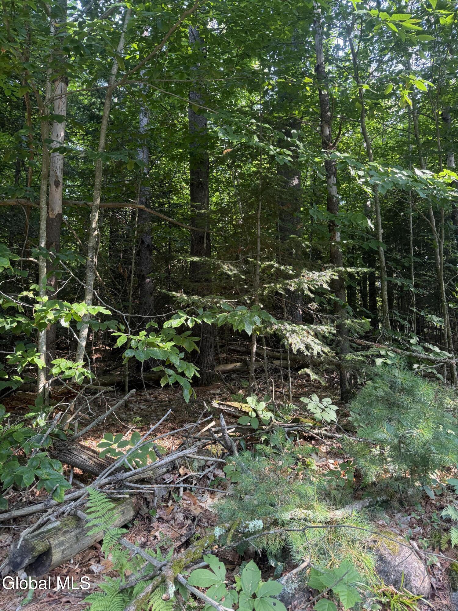 L4 Jim Younes Road Brant Lake NY 12815