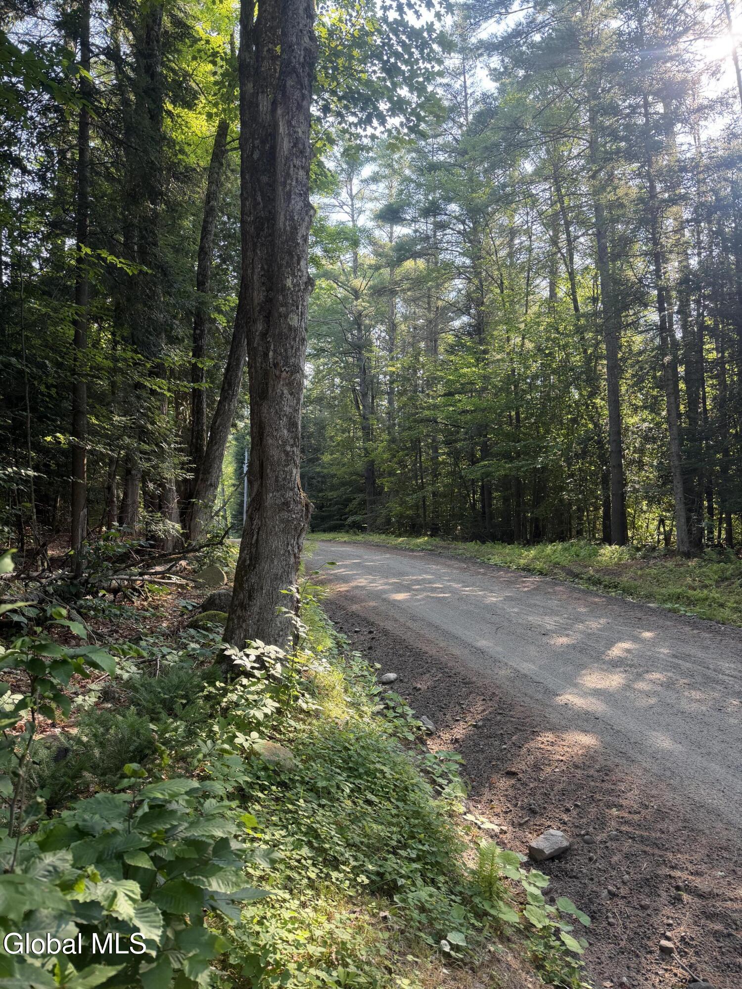 L4 Jim Younes Road Brant Lake NY 12815