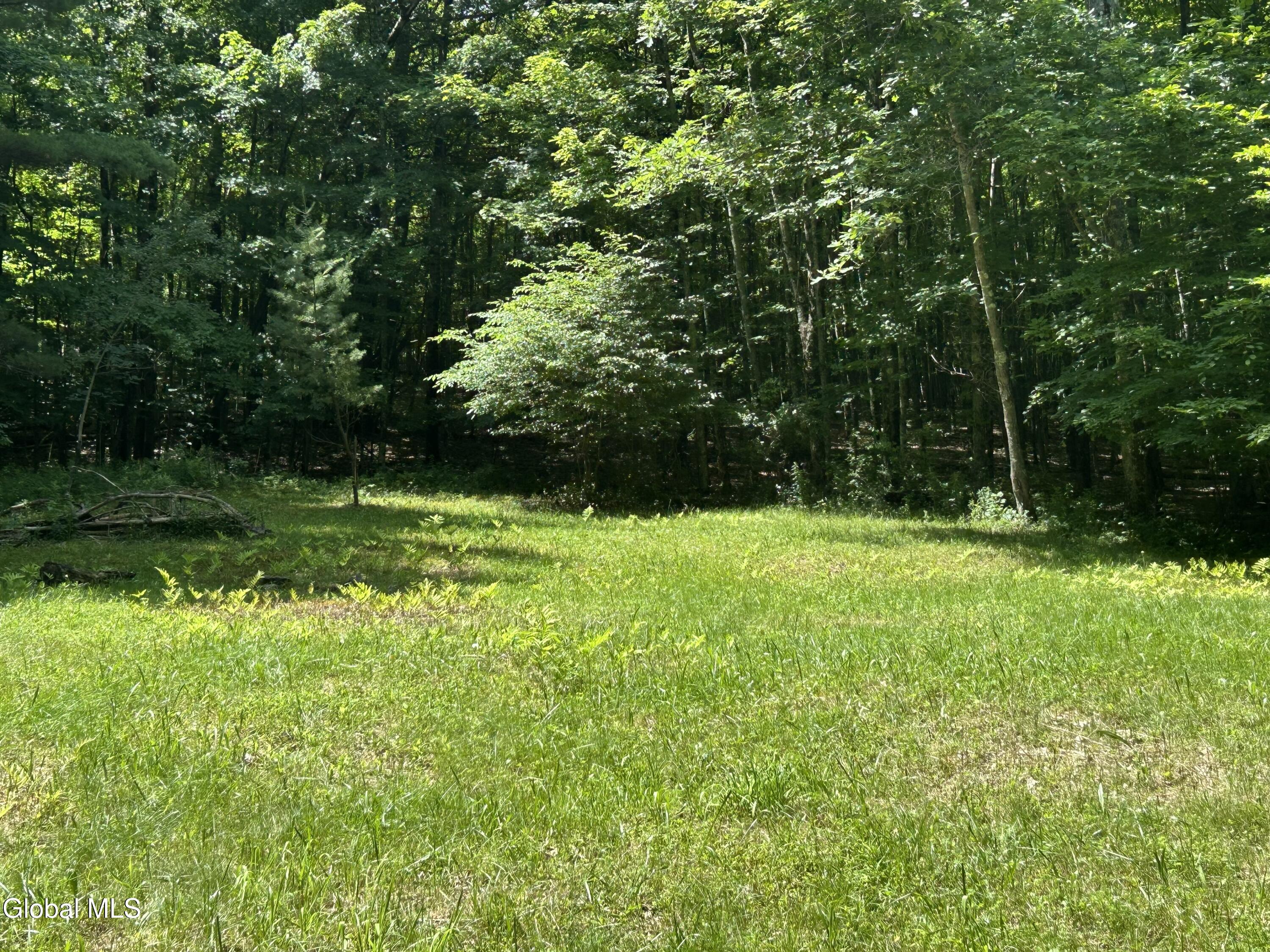 441 Dodge Lodge Road Richmondville NY 12149