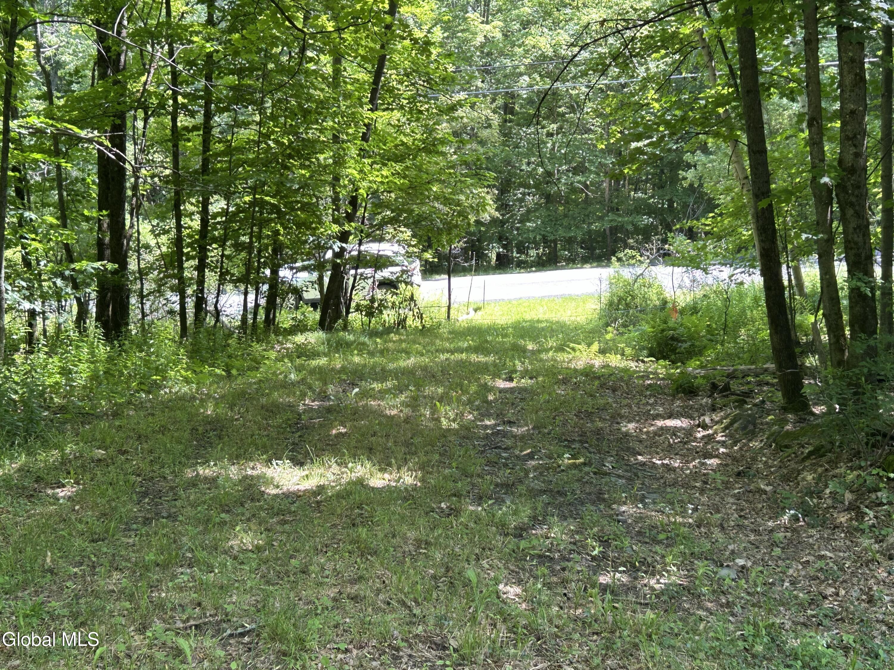 441 Dodge Lodge Road Richmondville NY 12149